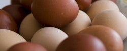 Einen Eiertanz aufführen - © stachoo, morguefile.com